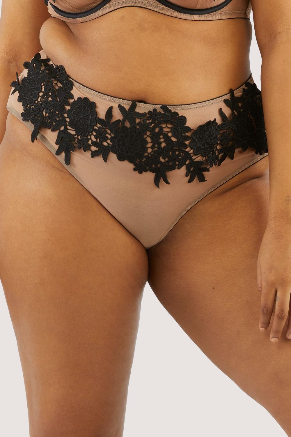 Alaina Illusion Mesh And Black Applique Brief Knickers