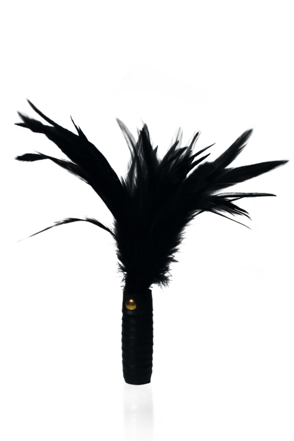 Black Leather Feather Tickler Bondage