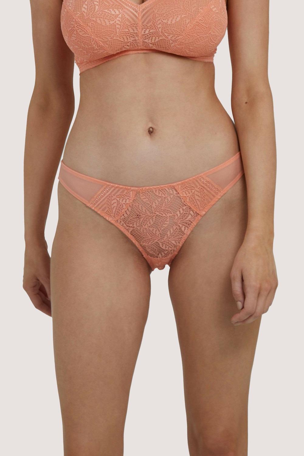 Emma Coral Brazillian Lace Brief Everyday Lingerie