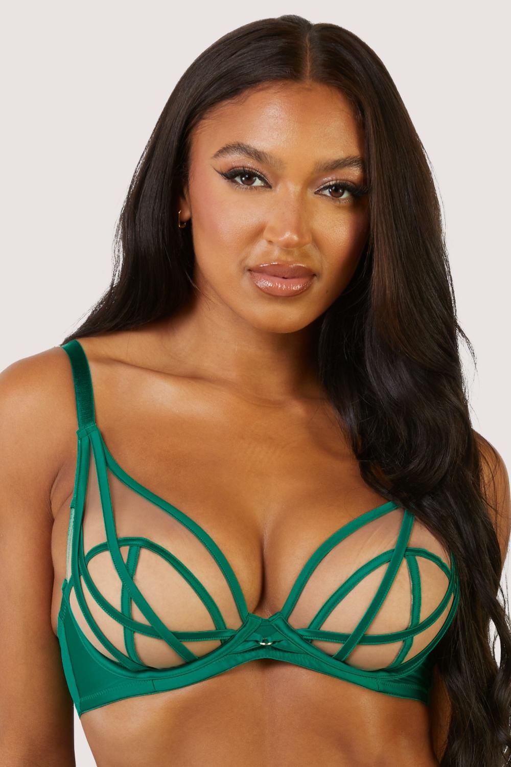 Ramona Green Mesh Plunge Bra Lingerie