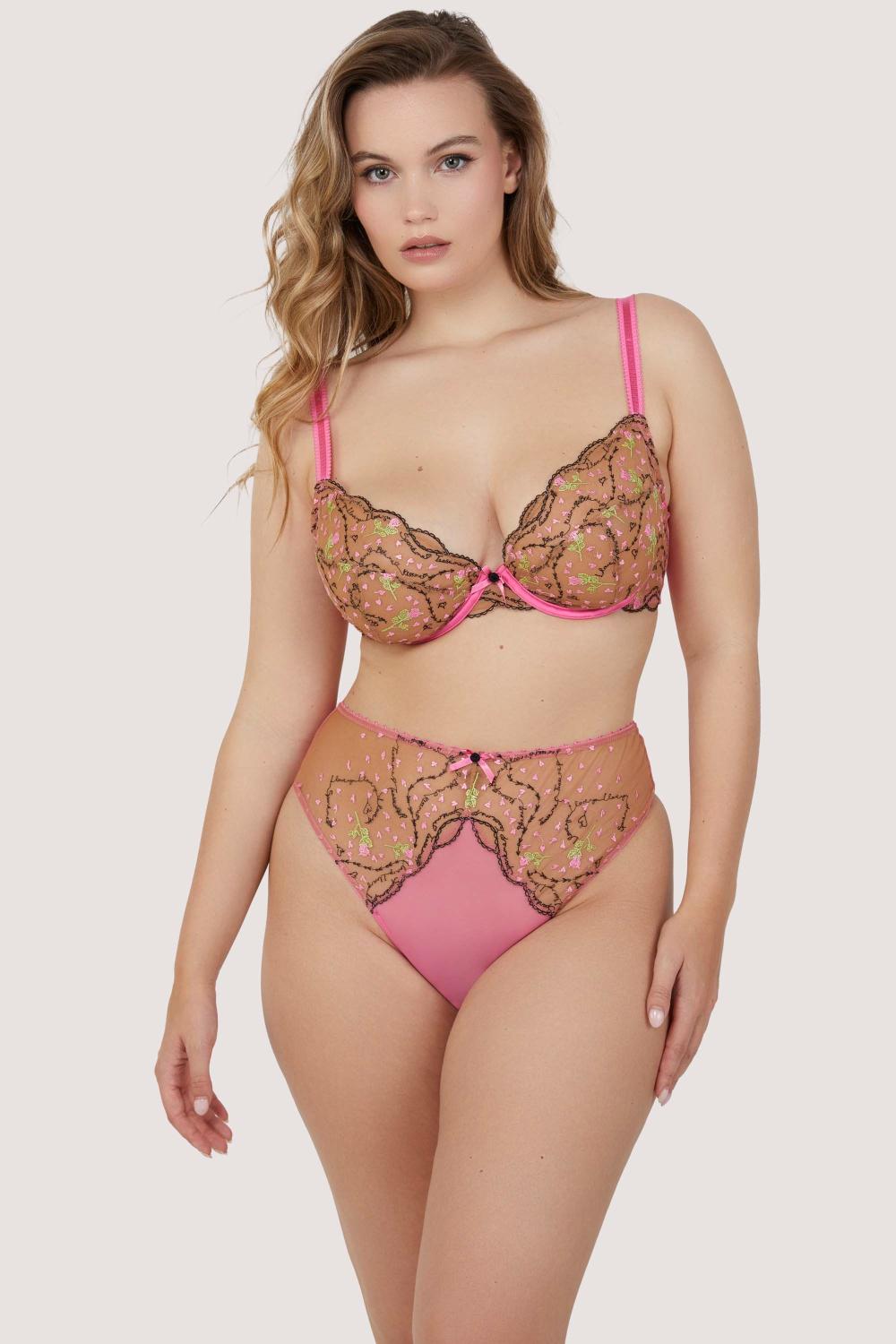 Spank Me Pink And Nude Embroidery Plunge Bra Lingerie